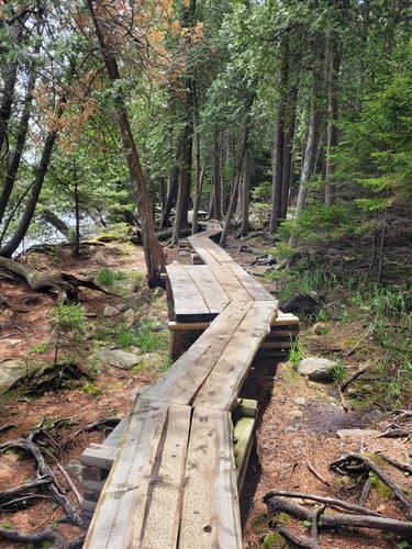 Maine hiking trail 