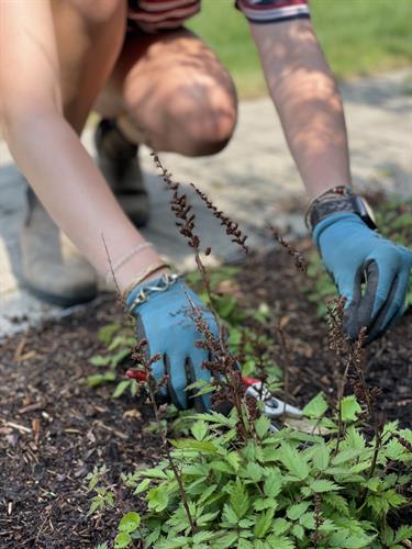 Garden Services