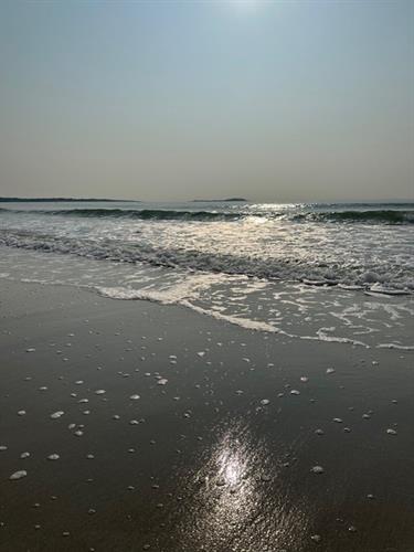 Gallery Image Beach_Pic.jpg