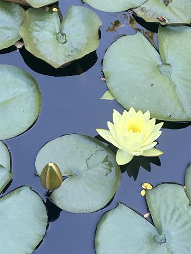 Gallery Image IMG_3092.jpeg