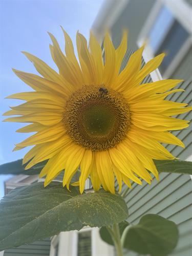 Gallery Image IMG_3229.jpg