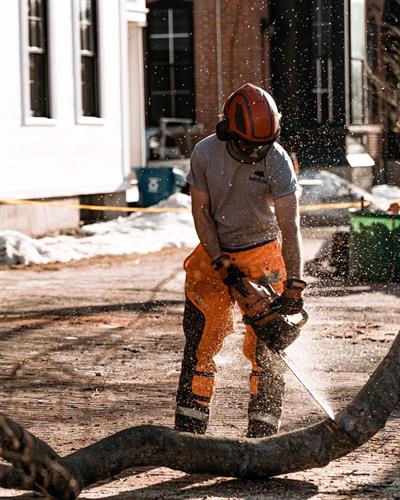 Gallery Image IMG_2145.jpeg