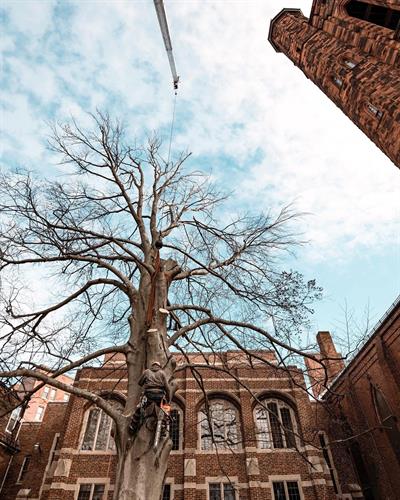 Gallery Image IMG_2149.jpeg