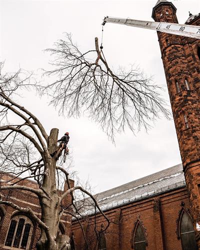 Gallery Image IMG_2150.jpeg