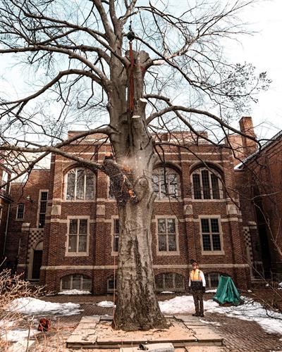 Gallery Image IMG_2152.jpeg