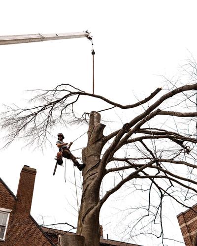 Gallery Image IMG_2155.jpeg