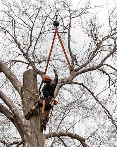 Gallery Image IMG_2156.jpeg