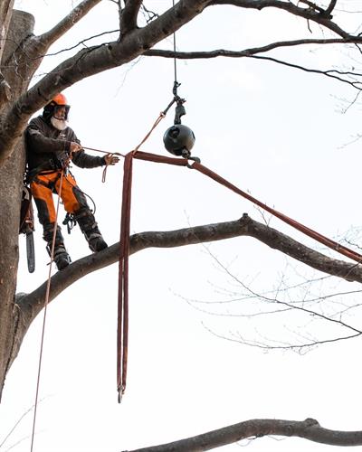 Gallery Image IMG_2157.jpeg