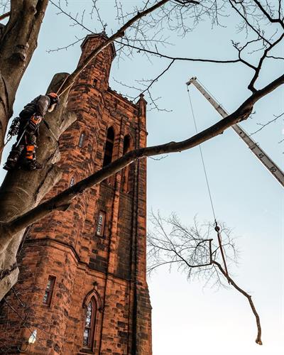 Gallery Image IMG_2159.jpeg