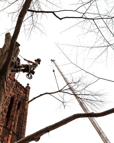 Gallery Image IMG_2161.jpeg