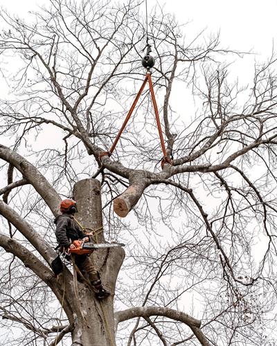 Gallery Image IMG_2163.jpeg