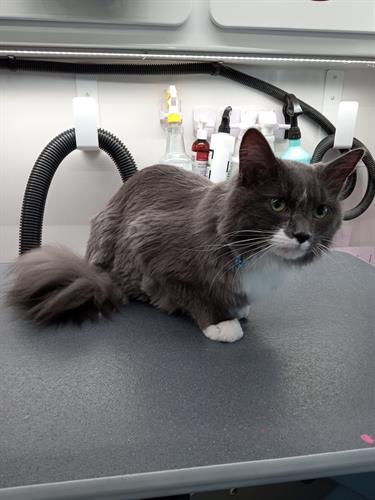 Gallery Image IMG_0451.jpeg