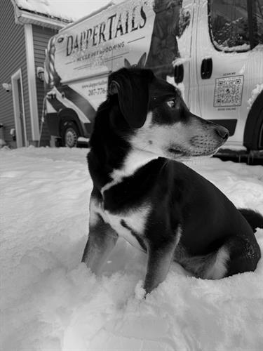 Gallery Image IMG_6272.jpeg