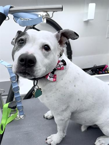 Gallery Image IMG_6399.jpeg