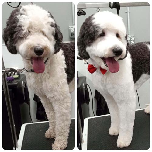 Gallery Image IMG_6477.jpeg