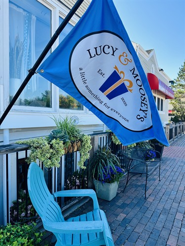 Welcom! Our logo flag helps point the way.