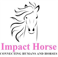 Impact Horse - Connecting Humans and Horses