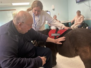 Impact Horse - Connecting Humans and Horses
