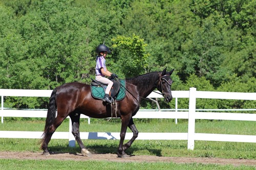 Gallery Image 724087248_4398112863840681_7950755352089313980_n.jpg