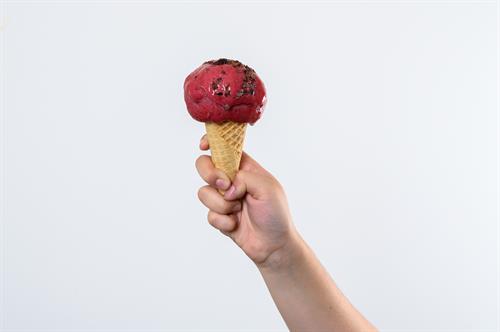 El Jefe Hibiscus Sorbet