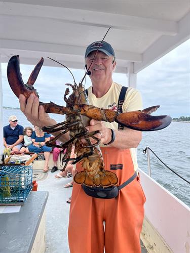 Rugosa Lobster Tour, Kennebunkport Lobstering 