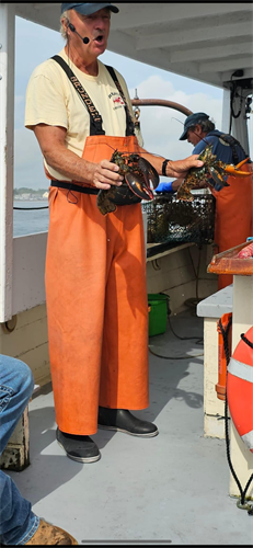 This is how you hold a lobster 