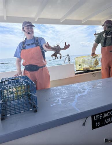 Gallery Image Lobster_talk_(1).jpg