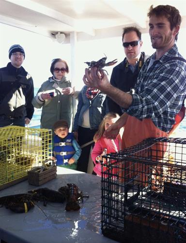 Gallery Image Lobster_talk_3_cool(1).jpg