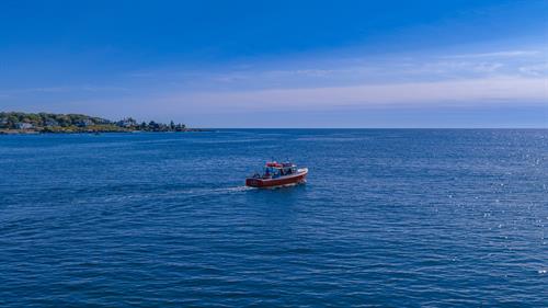 Rugosa Kennebunkport