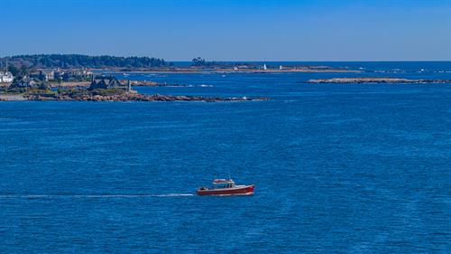 Rugosa, Walkers Point 