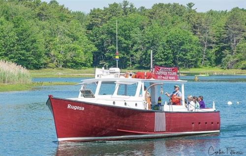 Gallery Image Rugosa_in_the_River.jpg