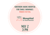 KKA Chamber: Ribbon Cutting Celebration for Southern Maine Hospital for Small Mammals!