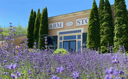 Gallery Image IMG_6597.jpg