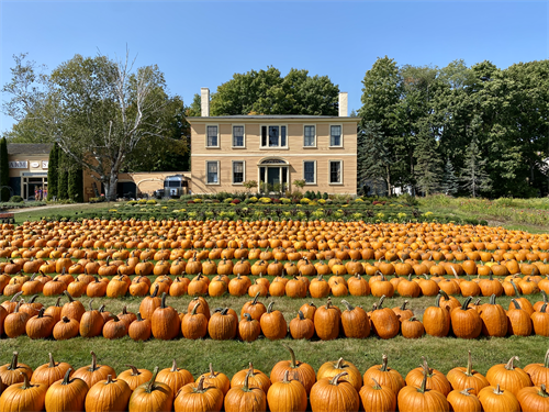 Gallery Image IMG_9800.png