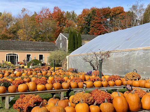 Gallery Image IMG_9947.jpeg