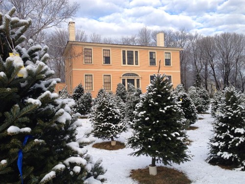 Gallery Image winter-1461004.jpg