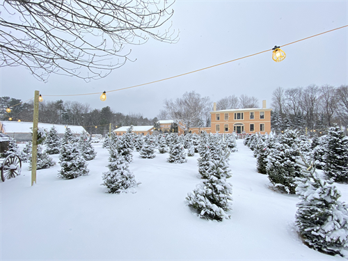 Gallery Image winter-IMG_5807.png