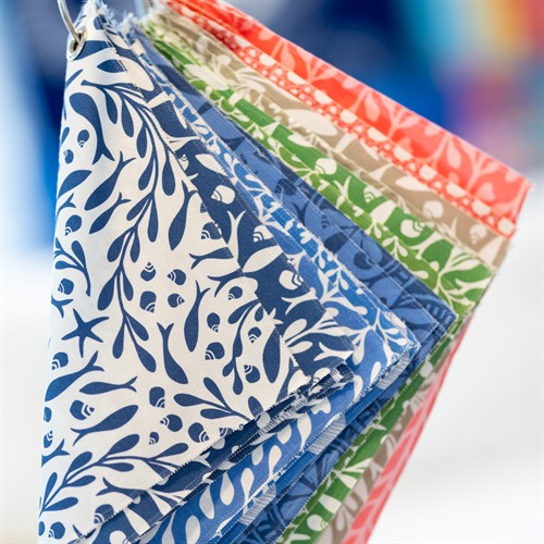 Gallery Image 2026-03-19-low_res_-1.jpg