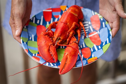 Gallery Image 2026-07-10-lobster_lifestyle-21.jpg