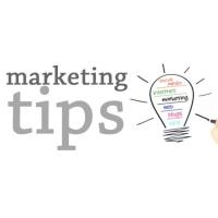 Small Business Marketing - Pro Tips
