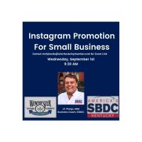 Instagram Promotion for Small Business