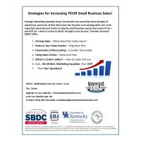 Strategies for Increasing YOUR Small Business Sales Lunch & Learn