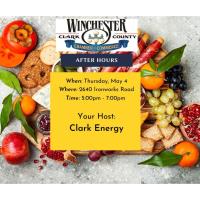 Chamber After Hours: Clark Energy