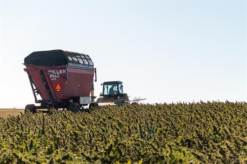 Harvest 2019 Harvest 2019