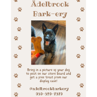 Adelbrook Bark-ery - Middletown