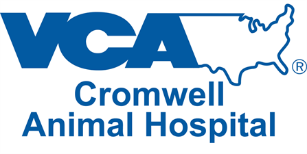 VCA Cromwell Animal Hospital