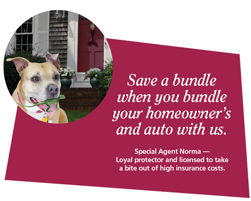 Gallery Image Special-agent_Norma-bundle-auto-home.png