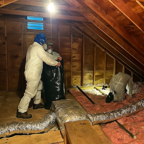 Attic Insulation Removal Attic Insulation Removal