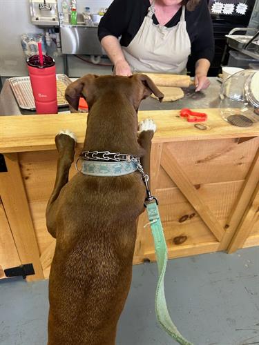 We Bake In-House For You to Watch We Bake In-House For You to Watch