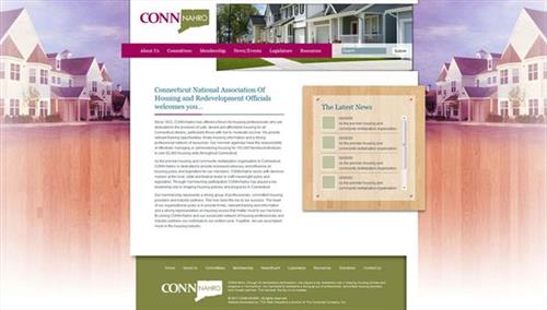 Website we did for Conn-NAHRO.